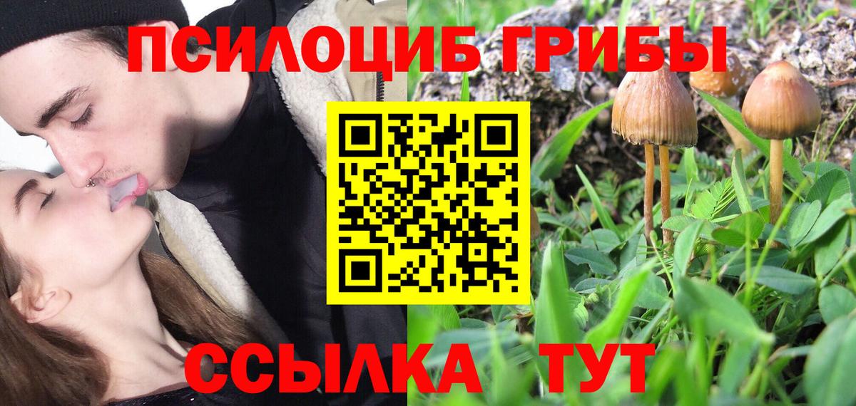 Псилоцибиновые грибы Psilocybine cubensis Аша