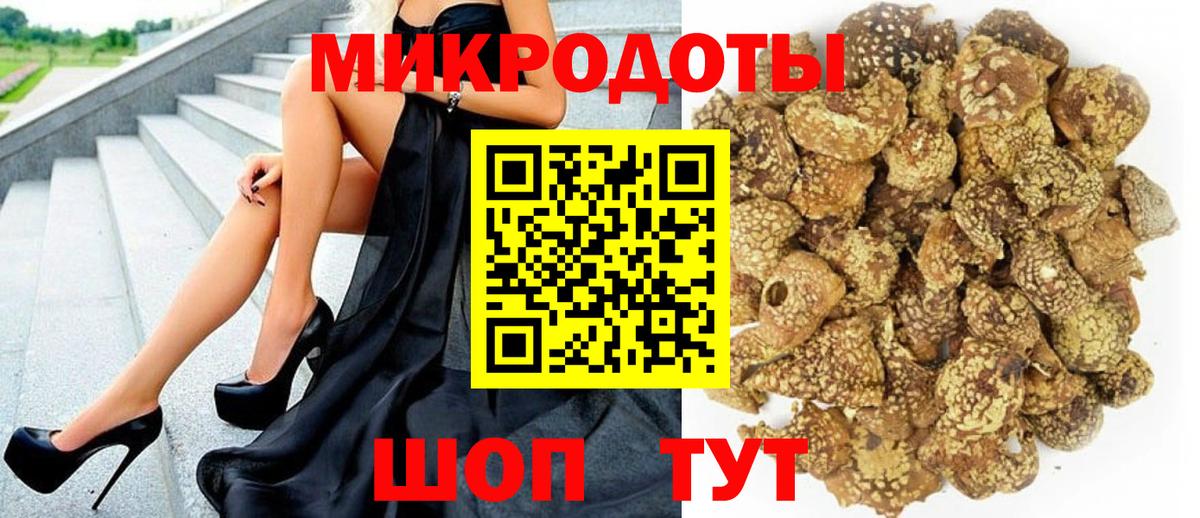 Псилоцибиновые грибы Psilocybe  Вход с VPN  Аша 